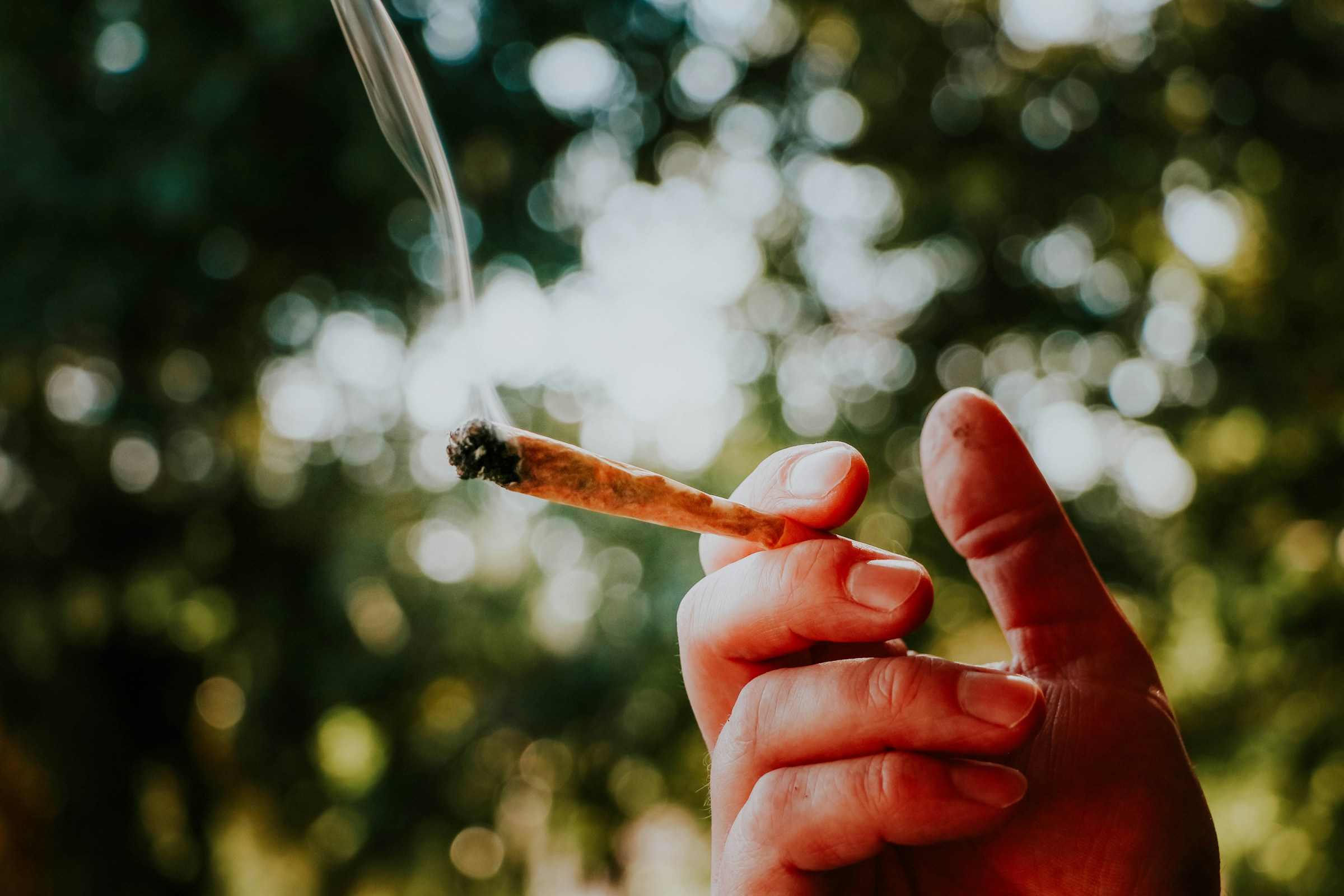CANNABIS E ADOLESCENZA: IL RIFUGIO IN UN MONDO IDEALE